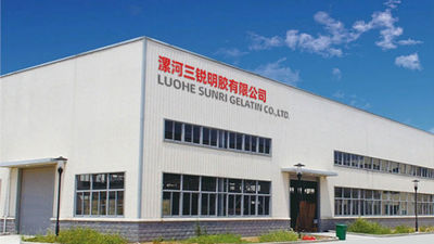 ประเทศจีน Luohe Sunri Gelatin Co.,LTD. รายละเอียด บริษัท